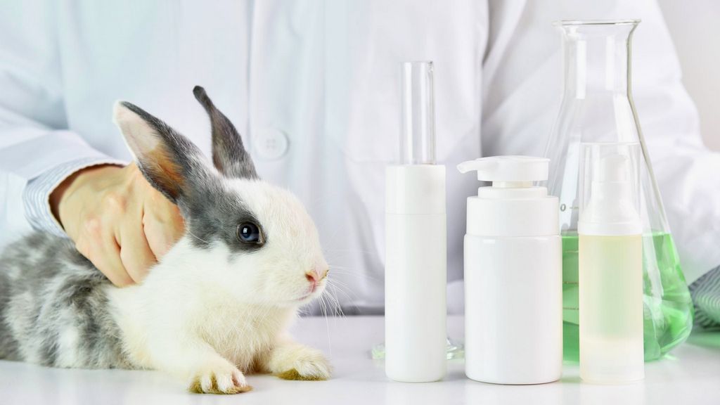 Criterias for Cruelty-Free Certification